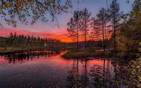 Download Wallpapers Norway Sunset Forest River Autumn For Desktop