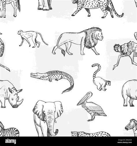 Incredible Collection Of 999 Animals Drawing Images In Stunning 4k