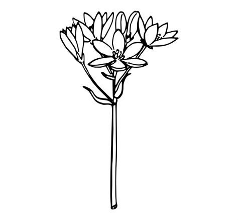 Free Plant Clip Art Black And White Download Free Plant Clip Art Black