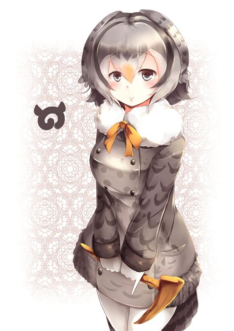 Cute Anime Owl Girl