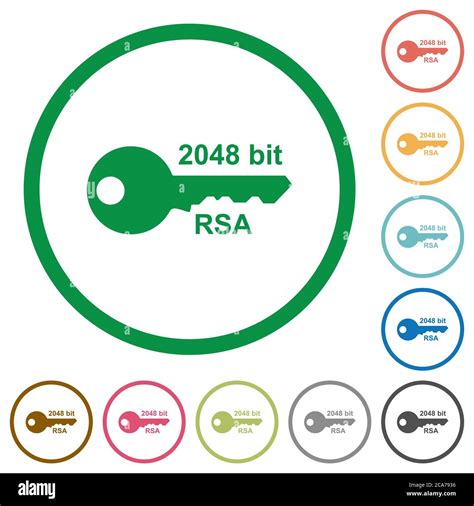 2048 Bit Rsa Encryption Flat Color Icons In Round Outlines On White