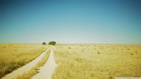 Download Beautiful Summer Landscape With A Field Path