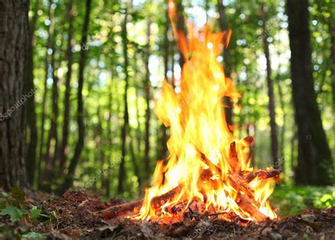 Bonfire In The Forest — Stock Photo © Valentynvolkov 9600466