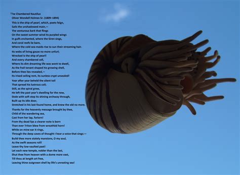 The Chambered Nautilus Poem