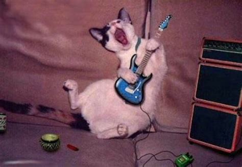 15 Best Images About Fun Guitar Pics Photoshop On Pinterest Conan