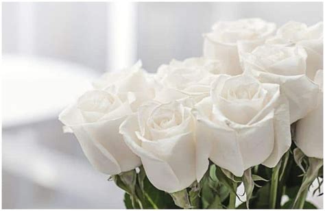 Biblical meaning of flowers in a dream. Spiritual Meaning of White Roses + Dream Interpretation ...