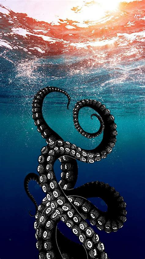 Octopus Phone Wallpaper