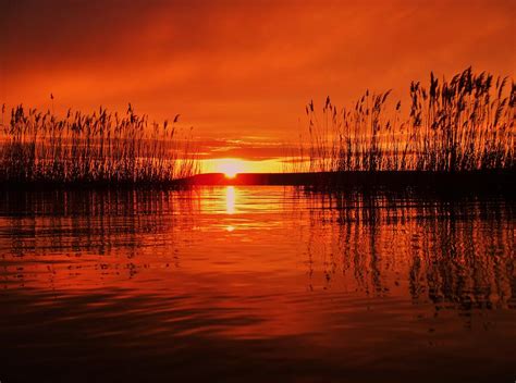 Sunset And Reeds At Wilson Lake Kansas Photograph By Greg Rud Fine