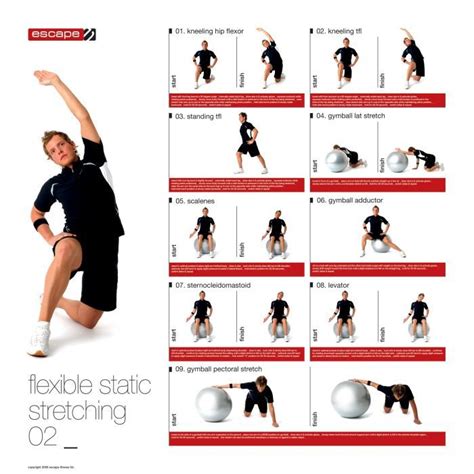 Male Static Stretching Chart Workout Chart Gym Workout Chart Exercise