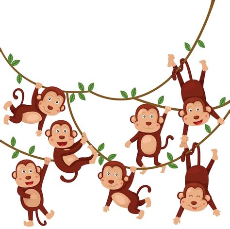 Premium Vector Illustrator Of Monkeys Funny Cartoon