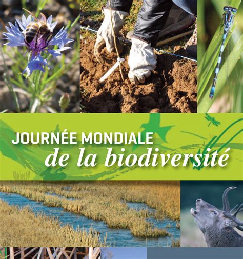 Journée Mondiale De La Biodiversité 2019 Musée National De Préhistoire