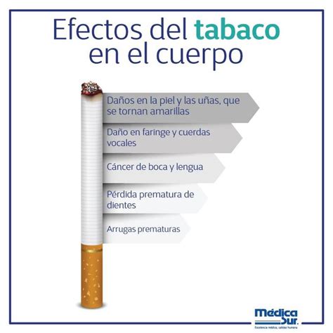 El Cigarro Tiene Efectos Importantes En Tu Salud Entérate Cuales Son