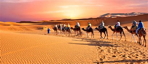All About The Arabian Desert Geography Climate And More Mybayut
