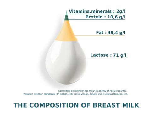 The Composition Of Breast Milk And Infant Comparison Vector Illustration On Isolated Background