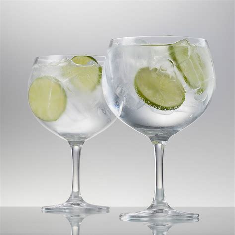 Gin Gläser Set