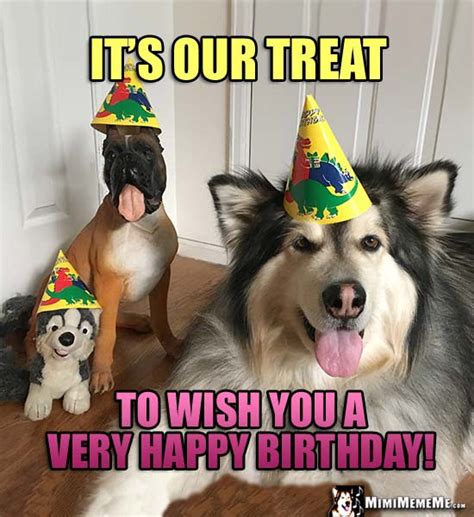 Funny Dog Tells Birthday Jokes Happy Birthday From Dog Pg 1 Of 7