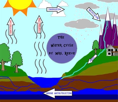 Water Cycle Mrs Reeves 5th Grade Class