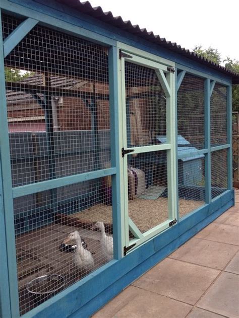 Kat that ran from october 25, 2008, to june 4, 2011. duck house | Walk in chicken coop, Chicken coop, Duck house