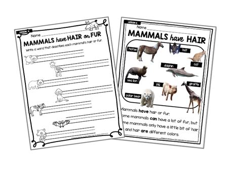 Mammals Science Unit Free Lesson — Keeping My Kiddo Busy