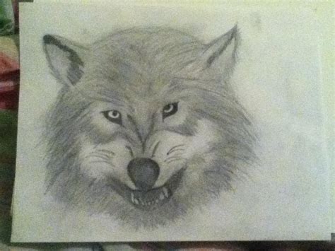 Wolf Growling Drawing By Midnightmare224 On Deviantart