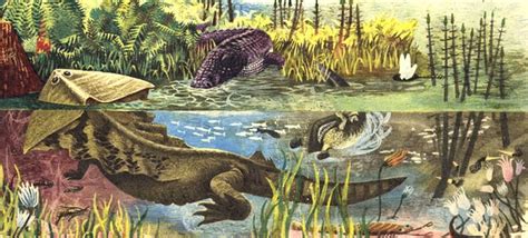 Palaeoblog First Land Animals Saw In Colour