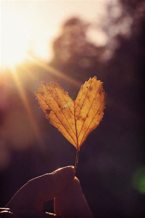 Autumn Love By Emzofc On Deviantart