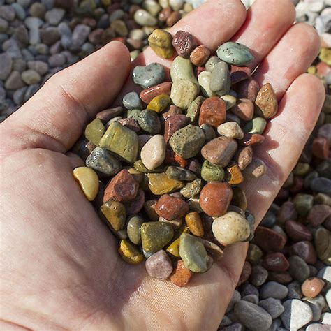 Discover more posts about pami. Pami Pebbles 3/8" | Bee Green Recycling & Supply, Oakland CA