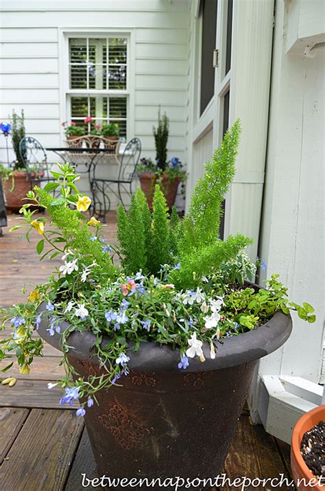 More on houzz 14 beautiful container gardens for shady spots browse more container garden ideas find a landscape designer near your shop for outdoor products. Container Gardening: Decorate the Deck and Patio with Flowers for Summer