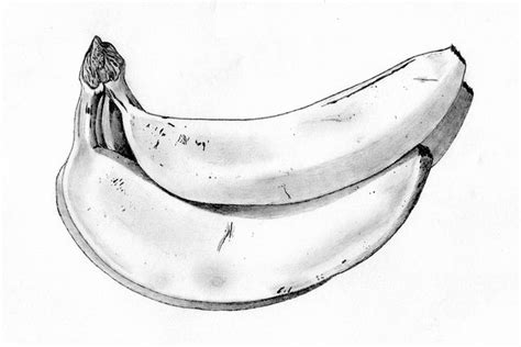 Bananas Pencil Drawing Pencil Drawing Of Some Bananas Flickr Fruits