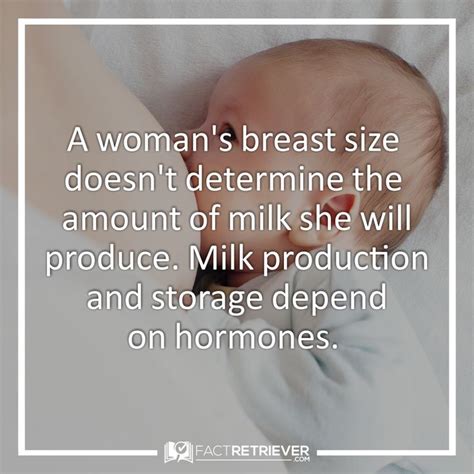55 Interesting Breastfeeding Facts Fact Retriever