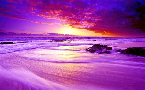 Purple Beach Sunset 4k Hd Nature 4k Wallpapers Images Backgrounds