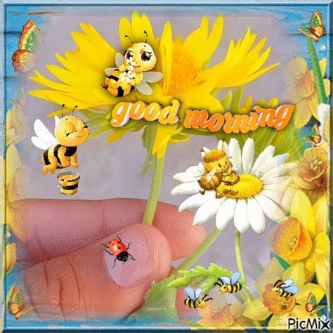 Good Morning With Sunflowers And Daisy Pictures Photos And Images For