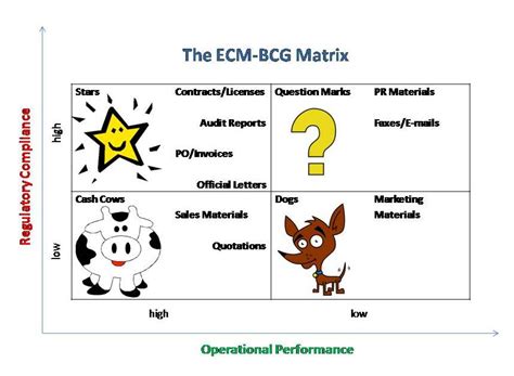 Bcg The Information Manager