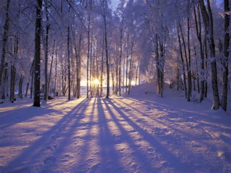 Free Download Christmas Winter Scenes Desktop Wallpaper 1 2560x1920