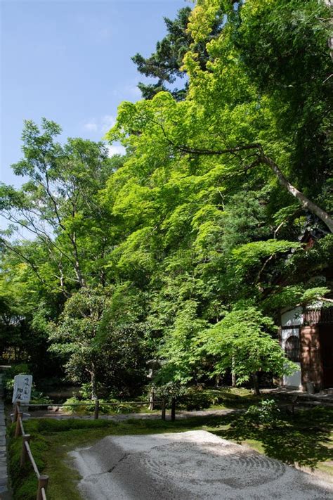 Hounen In Tempio Di Vegetazione Fresca Kyoto Giappone Fotografia