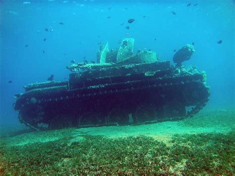 Seven Amazing Coral Reefs Made From Sunken Vehicles Recyclenation