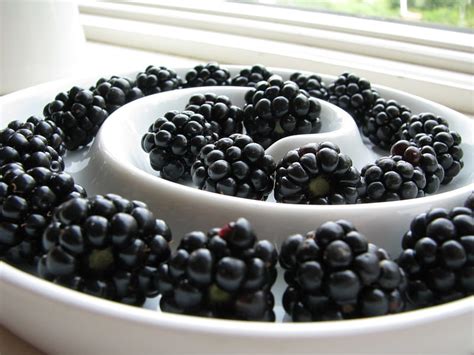 Delicious Blackberries Fruit Food Blackberry Fruits Healthy White