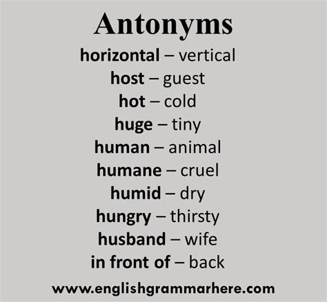 Antonyms Examples 100 English Antonym Opposite Words List English