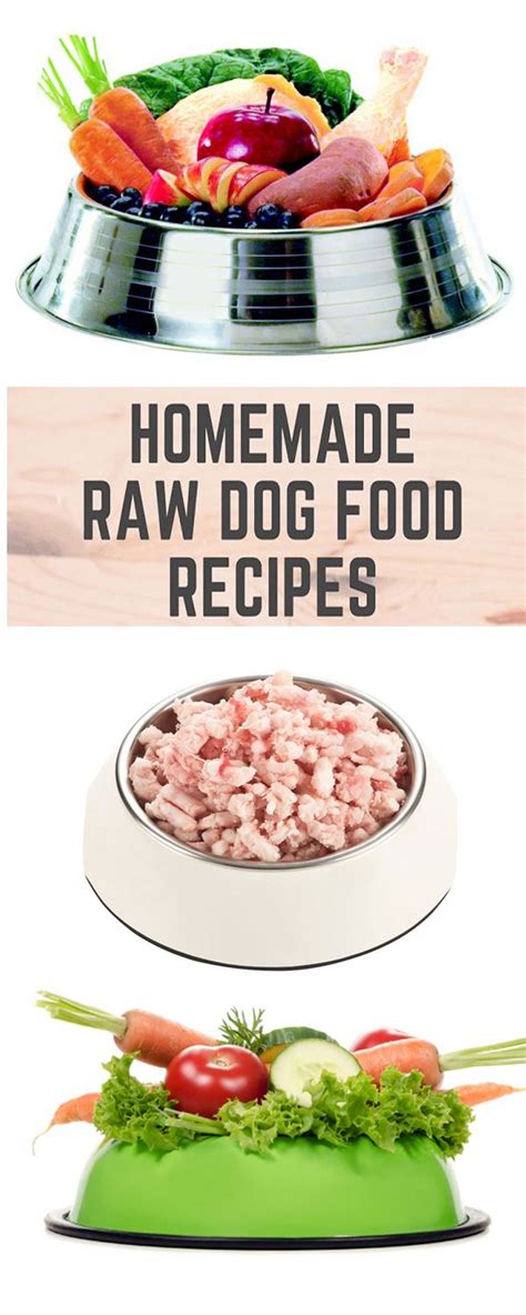 Best Natural Homemade Raw Dog Food Recipes Healthy For Your Dog