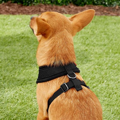 Puppia Soft Dog Harness, Black, Small - Chewy.com
