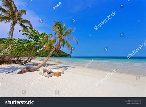 Beautiful Tropical Beach Lounges Palms Under Stock Photo Edit Now