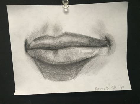 Lips 6316 Male Sketch Art Male