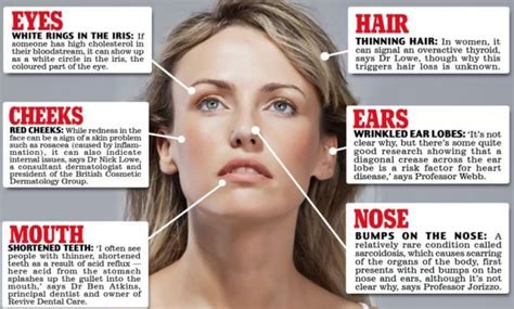 Home Daily Mail Online Face Health Hair Loss Causes Help Hair Loss