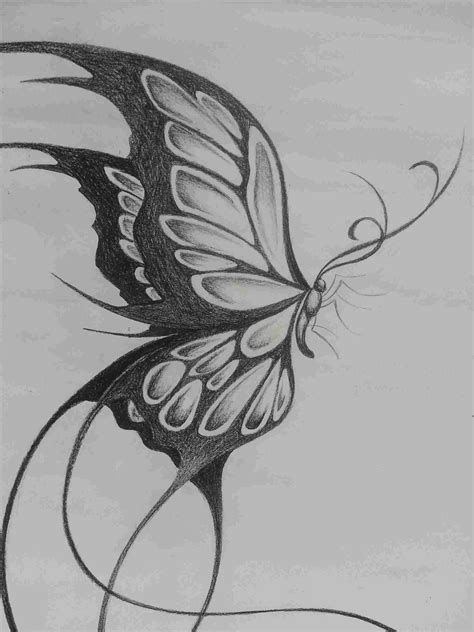 Butterfly On Flower Drawing At Explore Collection