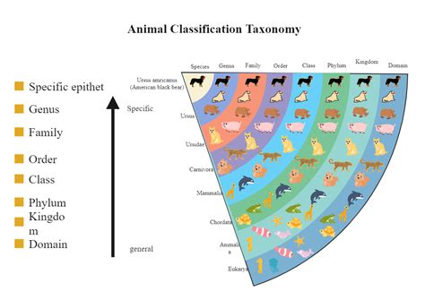 Taxonomy Chart Template