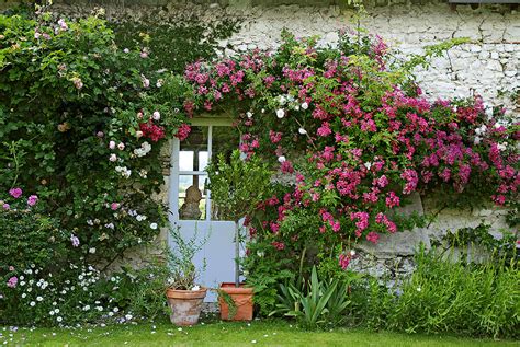 Un Jardin De Roses Dans Le Val De Loire Détente Jardin
