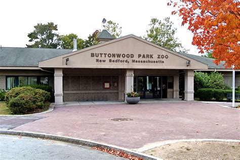 New Bedfords Buttonwood Park Zoo Will Accept Cash At The Gate