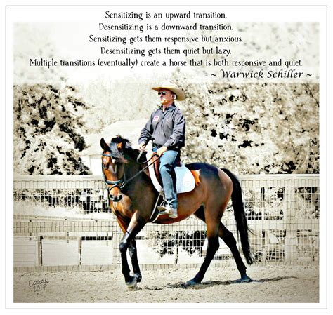From Themindfulhorsewoman Horses Warwick Schiller Horse Quotes