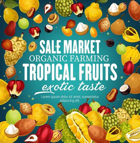 Vector Fruits Exotic Tropical Fruit Sketch Banners Stock Vector
