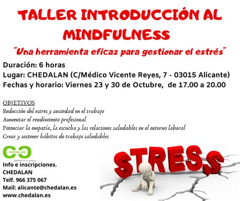 Taller IntroducciÓn Al Mindfulness Alicante Grupo Martam
